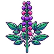 14. Chaste Tree Berry