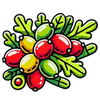 Quercetin