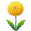 Dandelion Root