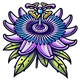 Passionflower