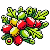5. Quercetin